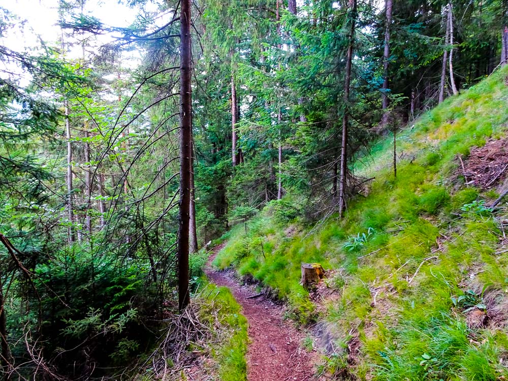 Der Zustiegsweg durch den Wald.