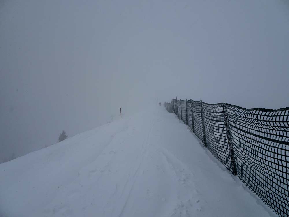 Hier geht es zum Rosskopf - ganz vorne sieht man das Gipfelkreuz schon leicht.